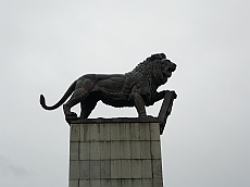 BRATI_1020963